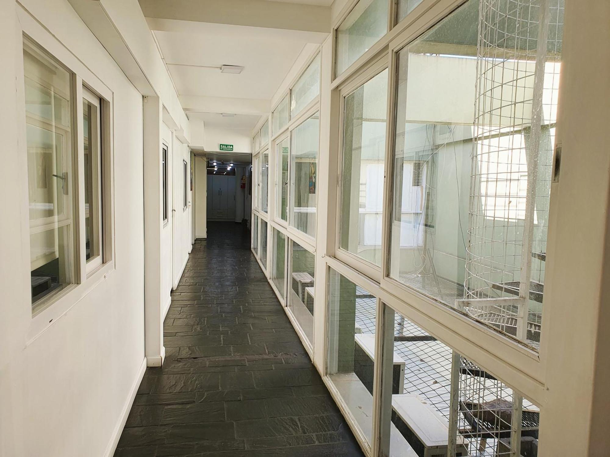 Hostal Con Piscina En Palermo Soho! Buenos Aires Dış mekan fotoğraf